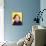 Danny Bonaduce-null-Mounted Photo displayed on a wall