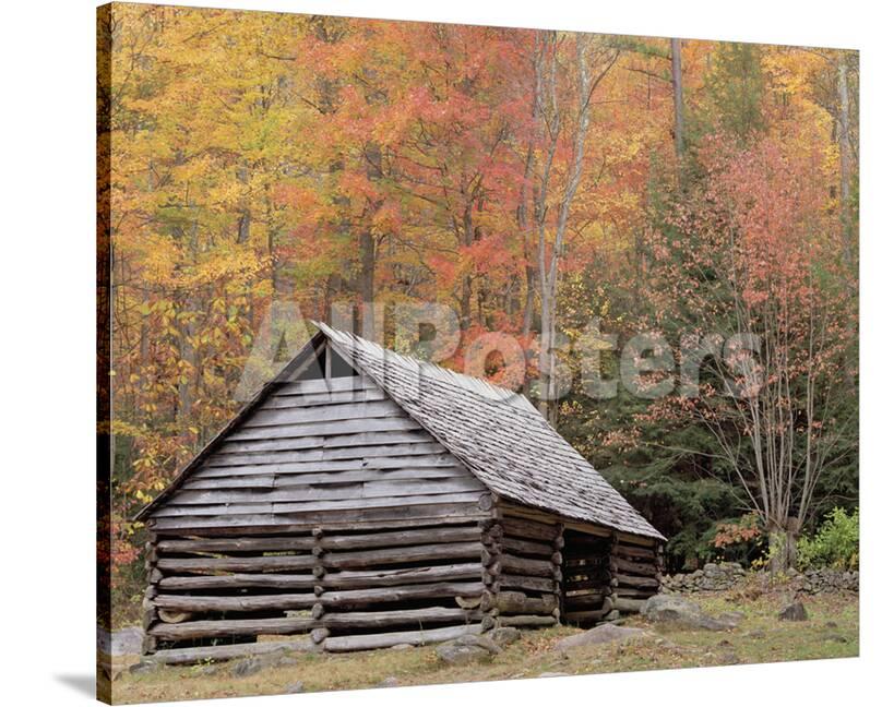 Smokies Roaring Fork Fall Cabin Stretched Canvas Print By Danny