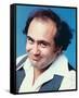 Danny DeVito - Taxi-null-Framed Stretched Canvas