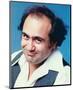 Danny DeVito - Taxi-null-Mounted Photo