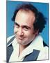 Danny DeVito - Taxi-null-Mounted Photo