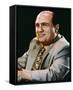 Danny DeVito-null-Framed Stretched Canvas