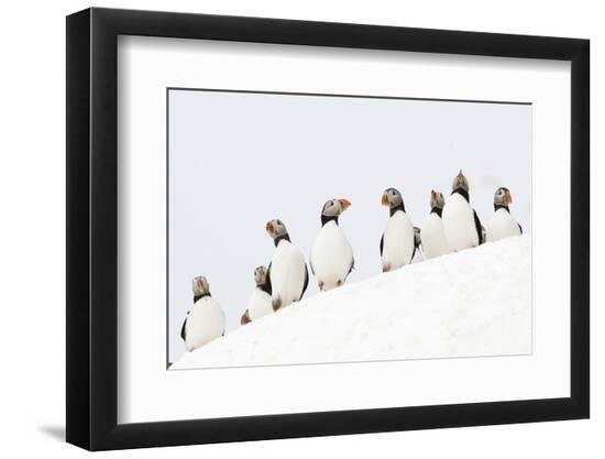 Photographic Print, , large