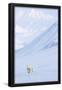 Essential Black
