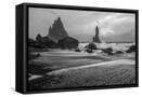 Canvas Black