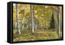 Canvas Black