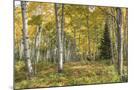 Wood Mount