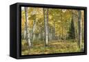 Canvas Black