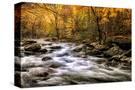 Stretched Canvas