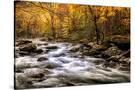 Stretched Canvas