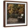 Brown Frame