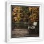 White Frame