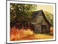 Wood Mount