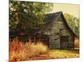 Wood Mount