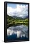 Essential Black