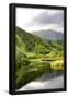 Essential Black