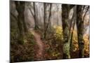 Wood Mount