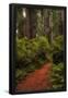 Essential Black
