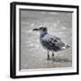 Black Frame