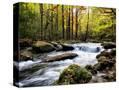 Stretched Canvas