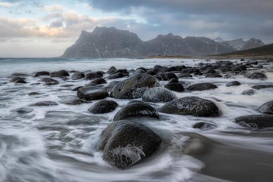 Premium Photographic Print, , large