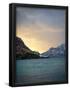 Essential Black