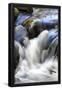 Essential Black