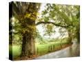 Stretched Canvas