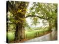 Stretched Canvas