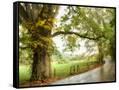 Canvas Black