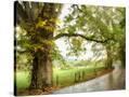 Stretched Canvas