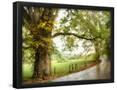 Essential Black