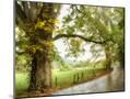 Wood Mount