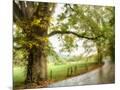 Wood Mount