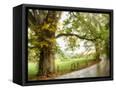Canvas Black