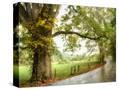 Stretched Canvas