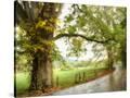 Stretched Canvas