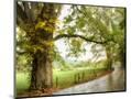 Wood Mount