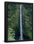 Essential Black