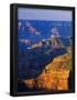 Essential Black