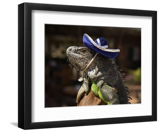 Premium Photographic Print, , large