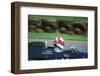 Danny Sullivan, 1998 Goodwood revival meeting-null-Framed Photographic Print