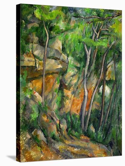 Dans le parc de Chateau-Noir (in the Park).-Paul Cezanne-Stretched Canvas