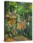 Dans le parc de Chateau-Noir (in the Park).-Paul Cezanne-Stretched Canvas