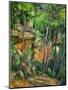 Dans le parc de Chateau-Noir (in the Park).-Paul Cezanne-Mounted Giclee Print