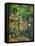 Dans le parc de Chateau-Noir (in the Park).-Paul Cezanne-Framed Stretched Canvas