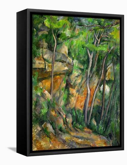 Dans le parc de Chateau-Noir (in the Park).-Paul Cezanne-Framed Stretched Canvas