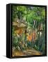 Dans le parc de Chateau-Noir (in the Park).-Paul Cezanne-Framed Stretched Canvas