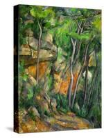 Dans le parc de Chateau-Noir (in the Park).-Paul Cezanne-Stretched Canvas