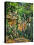 Dans le parc de Chateau-Noir (in the Park).-Paul Cezanne-Stretched Canvas
